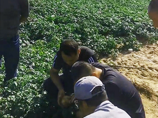 實驗田觀摩產(chǎn)品